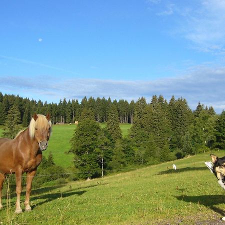 Hoehengasthaus Kolmenhof An Der Donauquelle فورتفاغن المظهر الخارجي الصورة