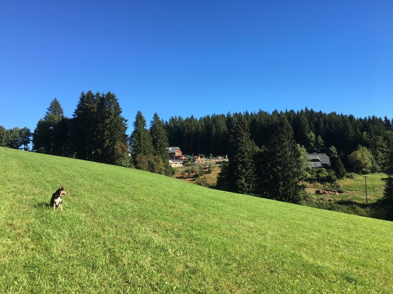 Hoehengasthaus Kolmenhof An Der Donauquelle فورتفاغن المظهر الخارجي الصورة